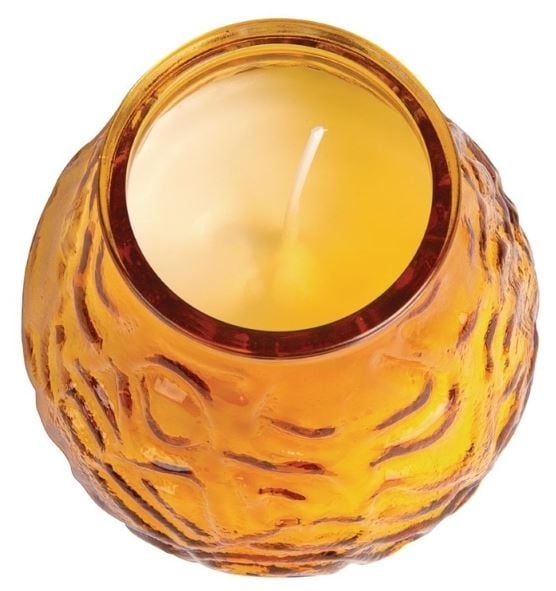 Bolsius Windlichter Lowboy amber - 12 Stk.